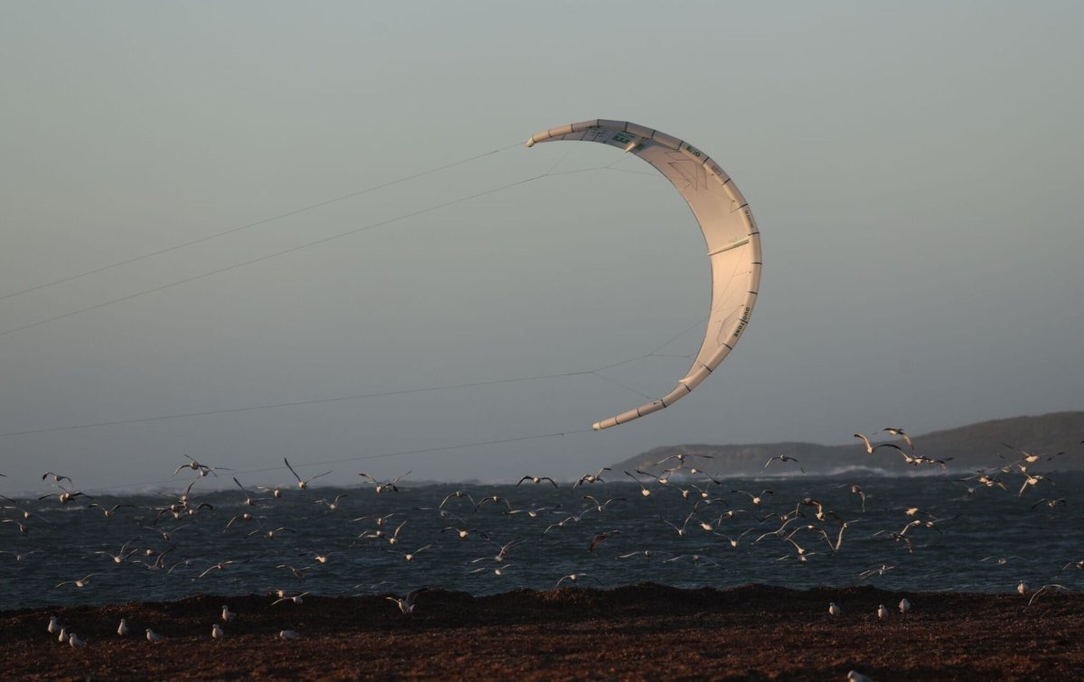 Duotone Evo Concept Blue 2025 - Skymonster Watersports