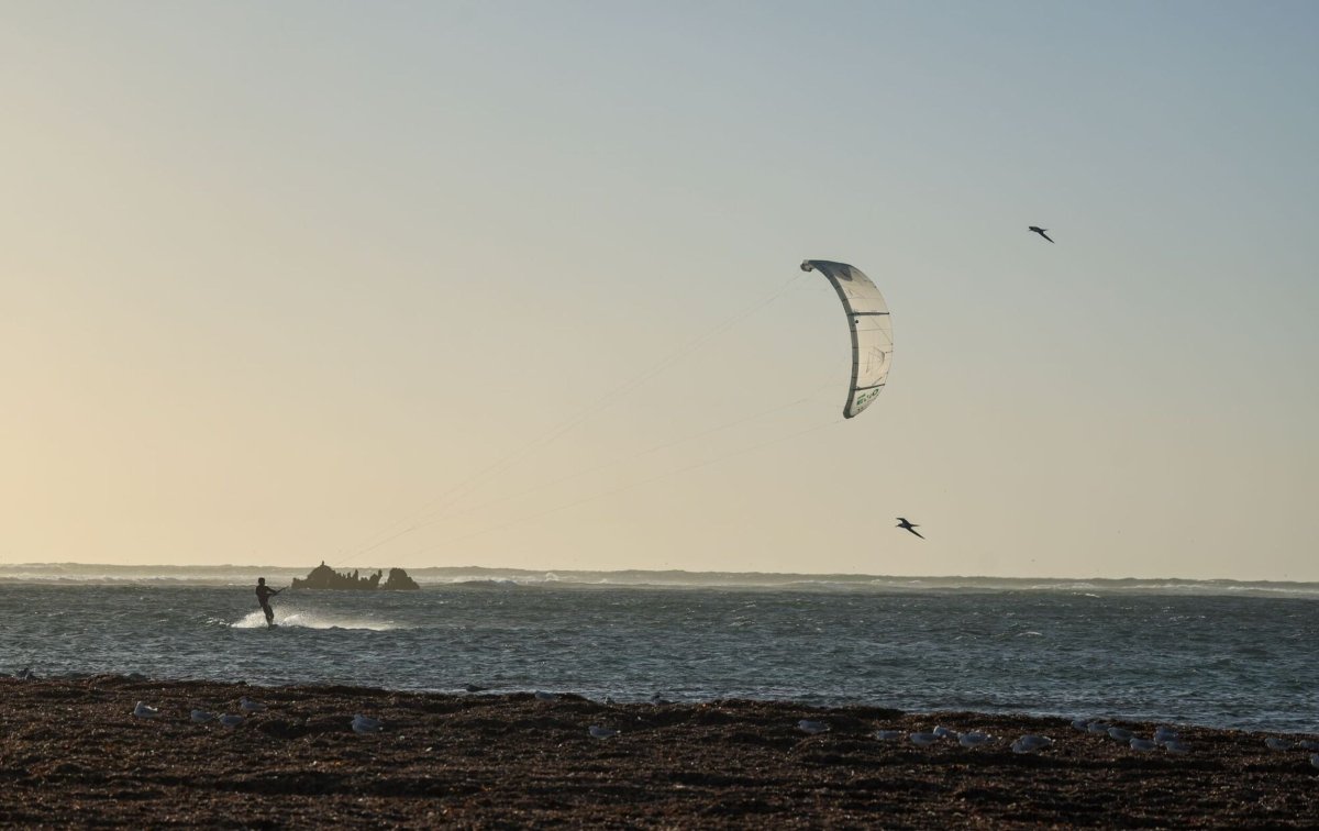 Duotone Evo Concept Blue 2025 - Skymonster Watersports