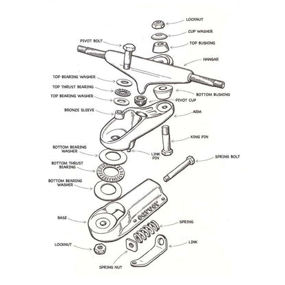 Carver Skateboards - C7 - Thrust Bearing Kit - Skymonster Watersports